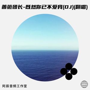 蔷薇团长-既然你已不爱我 (DJ版)
