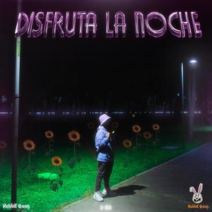 Disfruta la noche