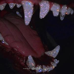 DOGSH!T (Explicit)