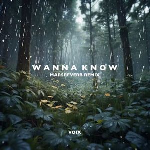 Wanna Know(MarsReverb) (Remix)