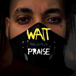 Wait (Explicit)