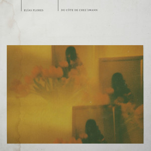 Du Cote De Chez Swann