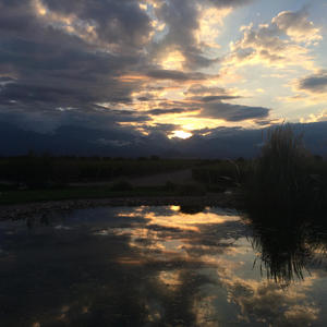 Famous Blue Raincoat