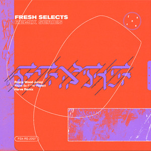 You're So F***in' Perfect (Harve Remix Instrumental)