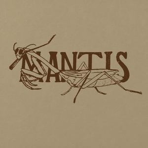 Mantis