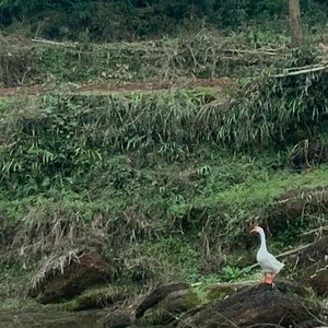 山野趣闻