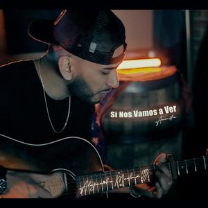 Si Nos Vamos a Ver (Version Acustica)