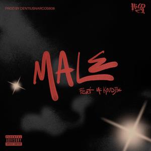 Male (feat. Mc Koudjoe & DentiusNarcos808) [Explicit]