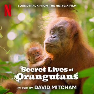 Secret Lives of Orangutans (Soundtrack from the Netflix Film)