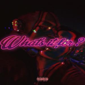 Whats's It For? (feat. Oakcliff Selena) [Explicit]