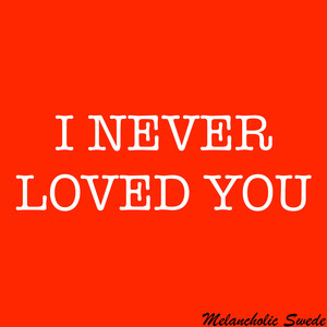 I Never Loved You (Explicit)