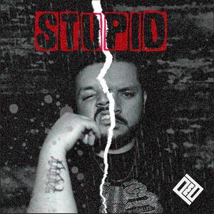 Stupid (feat. PMD) [Explicit]