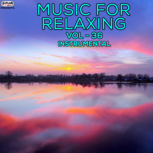 Music for Relaxing, Vol. 36