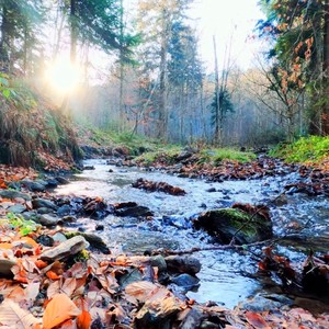 ma prefac sărac o zi (lumea perversa si rea)