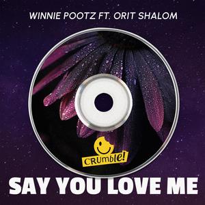 Say You Love Me (feat. Orit Shalom) (Extended)