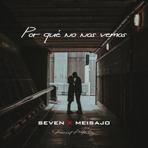 Por qué no nos vemos