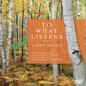 Libby Meyer: To What Listens