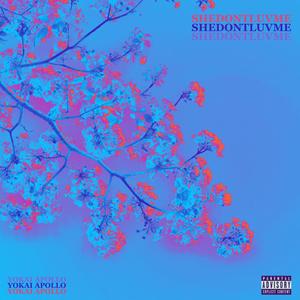 SHEDONTLUVME (Explicit)