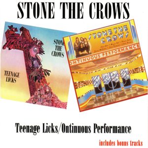 Teenage Licks / Ontinuous Performance