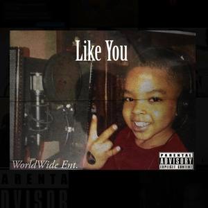 Like You (Explicit)