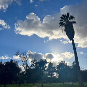 growth//reproduction