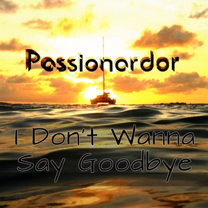 I Don't Wanna Say Goodbye (Gramophone Mix)