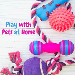 Play with Pets at Home