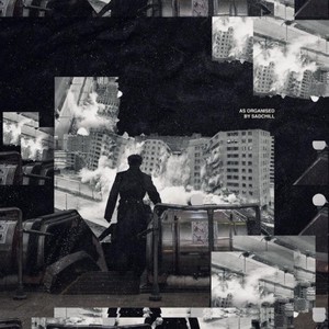 hammy - so much bullshit