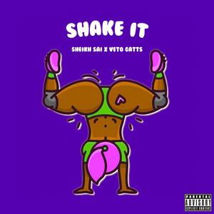 Shake It (feat. Veto Gatts) [Explicit]