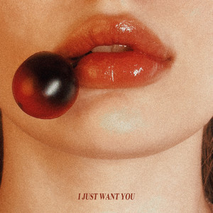 비버 (Beaver) - I Just Want You (feat. CHERRYSHH)