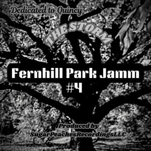 The Storm/Fernhill Park Jamm #4