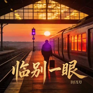 临别一眼封面