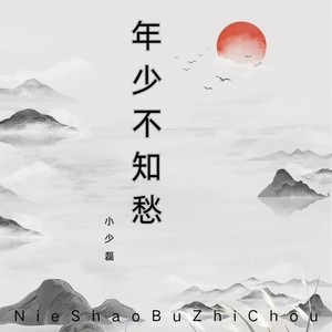 年少不知愁