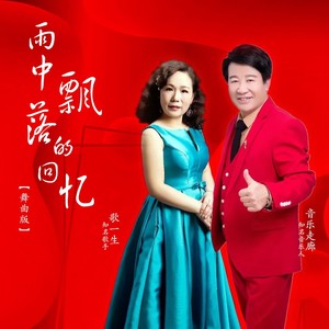 雨中飘落的回忆 (舞曲版)封面