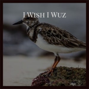 I Wish I Wuz