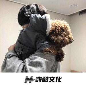少年 (DJ电摇版)
