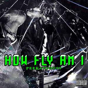 How Fly Am I BY PeekAtYou99 (Explicit)