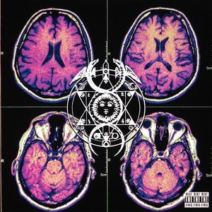 pay no mind (Explicit)