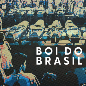 Boi do Brasil