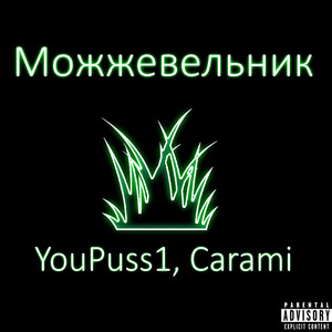 Можжевельник (Explicit)