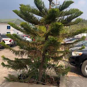 From the mud (feat. Barbz, Adam harriz & ZAm) (Explicit)