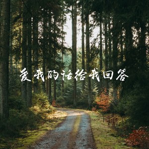 爱我的话给我回答