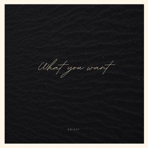 What You Want (feat. Obizzy)