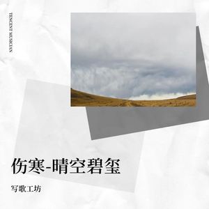 伤寒-晴空碧玺封面
