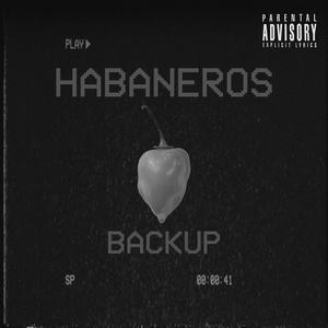 Young Boys/Habanero's (Backup) [Explicit]