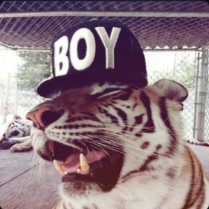 CALI (feat. JJARED) (El-Remixtopia|Explicit)