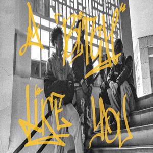 A ***** LIKE YOU (feat. David SKO, Drvco 47, Dluka & Eybrowm)