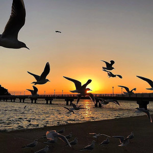 Ce Frumoasa E Iubirea (Remix)