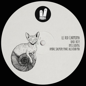 Bad Boy (Andre Salmon & Marc Alex Dub Mix)