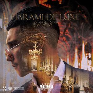 Harami de Luxe (Explicit)